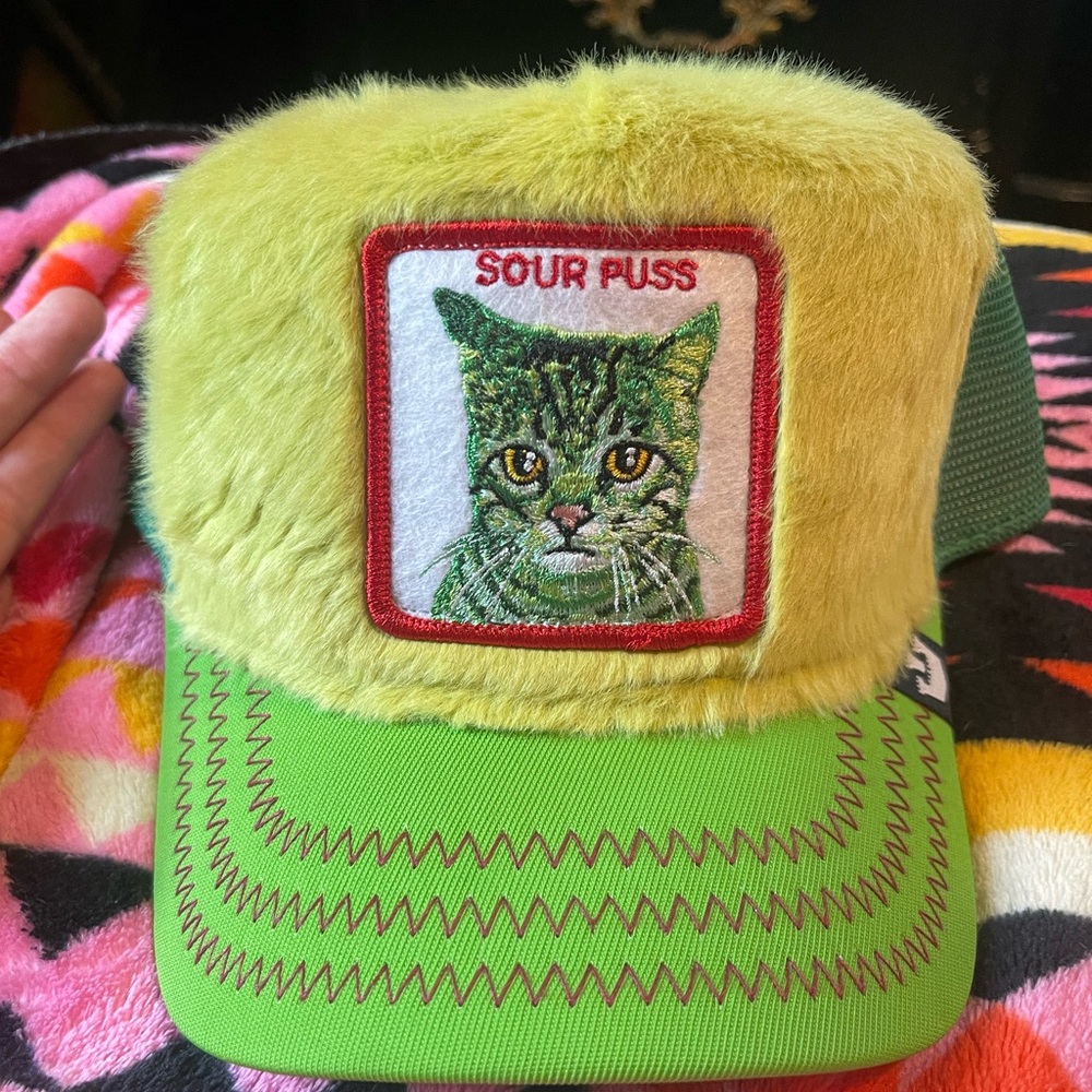 Goorin bros sour puss hat “the grinch” Christmas hat